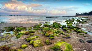 Landscape Scenic Ocean Sea Shore Coastline Shoreline Sky Cloud 1920x1200 Wallpaper