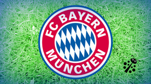 Soccer Logo Emblem 2560x1440 Wallpaper