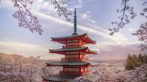 Japan Asia Photography Landscape Cherry Blossom Flowers Nature Mountains Clouds Mount Fuji Pagoda Ar 5958x3972 Wallpaper