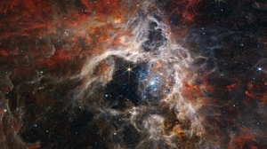 James Webb Space Telescope Tarantula Nebula Space Telescope Astronomy NASA USA Stars 7680x4320 Wallpaper