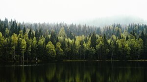 Nature Trees Water Lake Forest Shoreline 2048x1365 Wallpaper