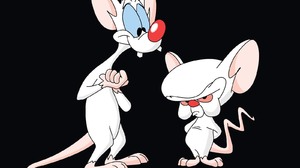 TV Show Pinky And The Brain 1600x1200 wallpaper