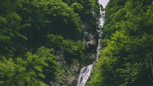 Forest Greenery Waterfall 2048x1152 Wallpaper