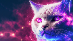 Ai Art Illustration Cats Space Universe Nebula Minimalism Stars 3641x2048 Wallpaper