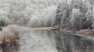 Winter Water Photography Trees Cold 2304x1392 Wallpaper