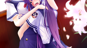 Anime Anime Girls Clannad Fujibayashi Ryou Fujibayashi Kyou Long Hair Short Hair Purple Hair Twins A 2100x2970 Wallpaper