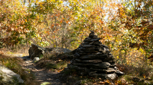 Pathway Rock Pile Foliage Bokeh Kyle Larivee Fall Path Forest 3840x2160 Wallpaper