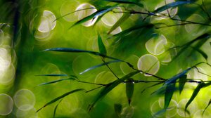 Bokeh Dew Dew Drop Green Leaf Nature Spring 2960x1850 Wallpaper