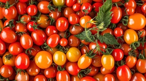 Food Tomato 2000x1334 Wallpaper