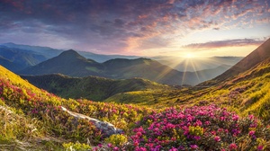 Nature Landscape Mountains Flowers Rhododendron Stones Sunrise Sky Clouds 3840x2160 Wallpaper