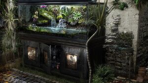 Fish Tank Plant 1600x1200 Wallpaper