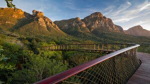 Cape Town Kirstenbosch National Botanical Garden Mountains Trees Bridge Nature 2000x1334 Wallpaper