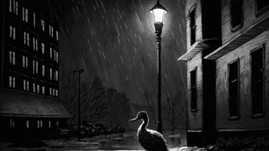 Duck Noir Duck Noir Lamp Post Monochrome Animals Rain 1600x992 Wallpaper