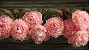 Earth Flower Peony Pink Flower 2880x1800 Wallpaper