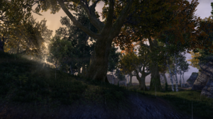 The Elder Scrolls Online Landscape Trees Mountains 2752x1152 Wallpaper