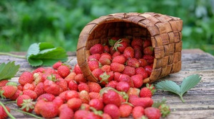 Basket Berry Fruit Still Life Strawberry 2048x1365 Wallpaper