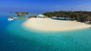 Tropical Maldives Ocean Sea Turquoise Palm Tree Horizon 2560x1440 Wallpaper