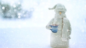 Christmas Mug Snow Snowflake Snowman Toy Winter 2560x1707 Wallpaper