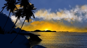 Digital Painting Digital Art Nature Ocean View Palm Trees Sunset Clouds Water Trees 1920x1080 Wallpaper