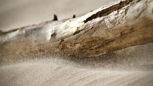 Photography Log Simple Background Sand Sand Particle Closeup 3937x2652 wallpaper