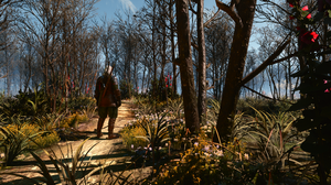 The Witcher Nature RTX Ray Tracing The Witcher 3 Wild Hunt CD Projekt RED CGi Video Games Video Game 3840x2160 Wallpaper