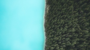 Forest Aerial Turquoise 2048x1365 Wallpaper