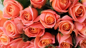 Rose Bouquet 3840x2560 Wallpaper