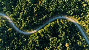 Nature Trees Forest Road Aerial View 1920x1080 Wallpaper
