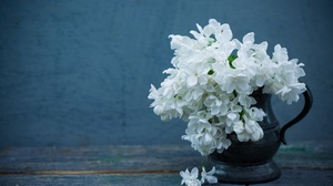 Jug Lilac Petal White Flower 2048x1367 Wallpaper