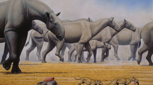 Animal Extinct 1476x1050 Wallpaper