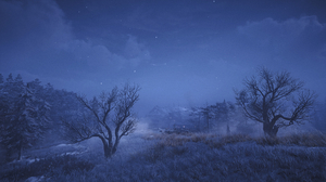 Assassins Creed Valhalla Reshade HDR Depth Of Field Video Games Trees Nature Sky Night Stars 2560x1440 Wallpaper