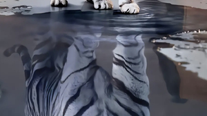 Kitty Tiger Animals Reflection Water Vertical 1467x3000 Wallpaper