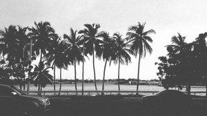 Palm Trees Vehicle Isla Dorada 3264x1836 Wallpaper