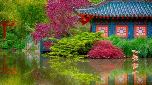 Colorful Japanese Garden Lodge Pond Tree 2048x1365 wallpaper