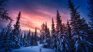 Winter Snow Landscape Outdoors Nature Night Sky Clouds Photography Trees Snow Covered 3500x2333 Wallpaper
