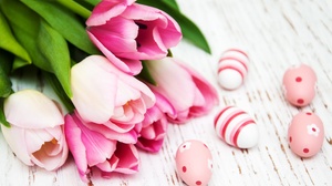Easter Egg Flower Pink Flower Tulip 3967x2499 Wallpaper