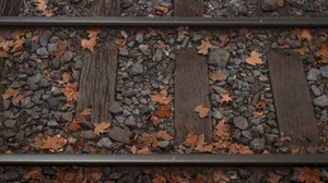 Railway Foliage Fall Leaves Wood Planks Pebbles Rocks Felipe Pelaquim Railroad Track Fallen Leaves 5101x2869 Wallpaper