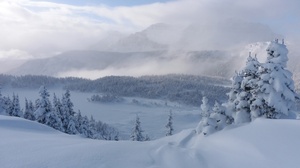 Alberta Banff National Park Canada Fir Tree Mountain Rocky Mountains Snow 2048x1536 Wallpaper