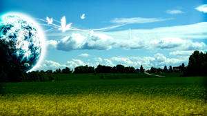 Bird Blue Cloud Earth Field Grass Green Planet Sky 1680x1050 Wallpaper