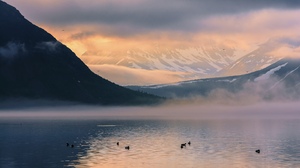 Nature Landscape Mountains Snow Water Lake River Ducks Animals Mist Clouds Duck Sky 2560x1440 Wallpaper