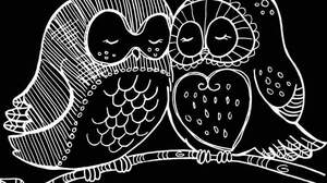 Animals Owl Monochrome Simple Background Minimalism 844x1500 Wallpaper