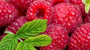 Berry Fruit Raspberry 3840x3112 Wallpaper