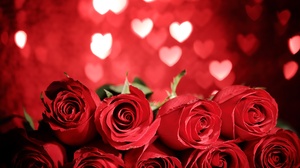 Bokeh Flower Heart Red Flower Red Rose Romantic Rose 5616x3744 Wallpaper