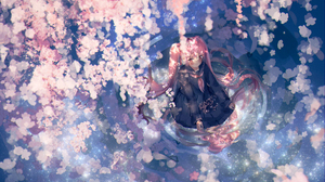 Sakura Miku Flower Water Pink Hair 2048x1334 Wallpaper