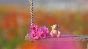 Flower Swing Toy Cosmos Teddy Bear 2048x1536 Wallpaper