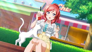 Nishikino Maki Love Live Anime Girls Drink Cats Animals Redhead Sitting Sunlight Purse 3600x1800 wallpaper