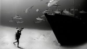 National Geographic Photography Underwater Shark Monochrome Shipwreck 2000x1333 Wallpaper