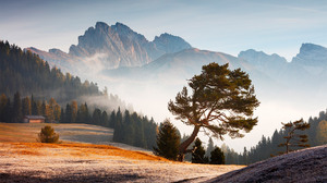 Nature Landscape Trees Martin Rak Dolomites Italy Morning Mist Clouds Mountains Valley Forest 1920x1280 Wallpaper