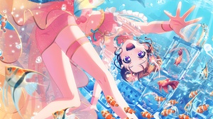 BanG Dream Anime Anime Girls Toyama Kasumi Fish Looking At Viewer Sunlight Dolphin Water Underwater  5336x4008 wallpaper