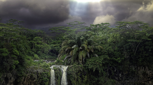 Rainforest Cloud Forest Green Jungle Sunbeam Sunshine Tree Tropical 2900x1700 Wallpaper